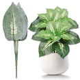 thumbnail image 2 of Artificial Greenery Leaves Bush, Lifelike Evergreen Plant with White Edge, 13-Inch Faux Dieffenbachia for Indoor Outdoor Wall Decor Home Garden Wedding Decoration, 1 Bunch of Artificial Flowers, 2 of 9