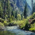 thumbnail image 5 of Chilfamy  Landscape Shower Curtain, Scenic Mountain with Pine Trees and Flowing River Colorful Foliage Daytime Nature, Cloth Fabric Bathroom Decor Set with Hooks, Blue Night White, 5 of 7