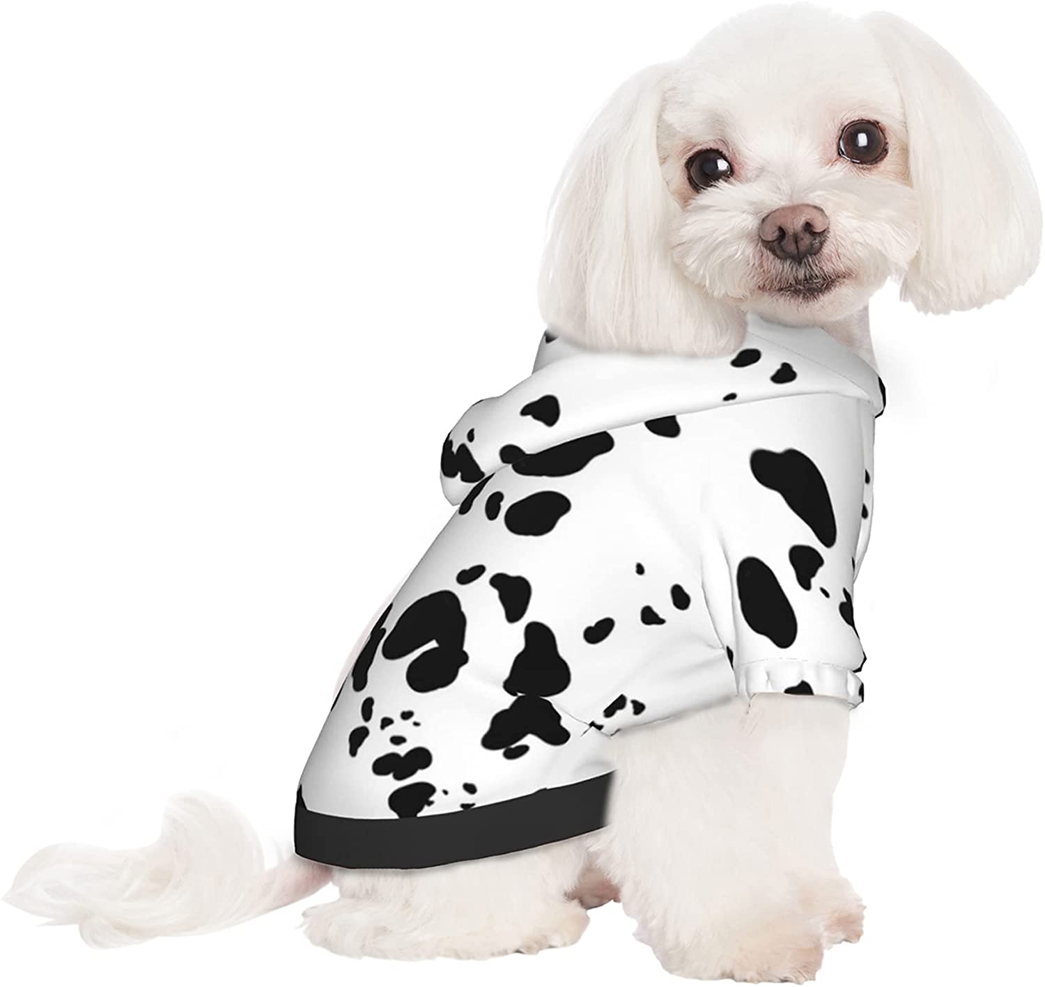 Sweat à Capuche Motif Dalmatien – T-shirt Humoristique Pour Fans De Chiens, Coupe Classique, Col Tissé, 241g - 2