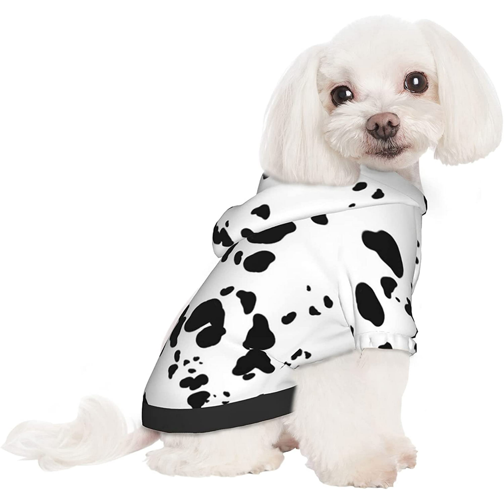 Dalmatian print sweater best sale