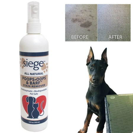 Siege Pet Stain Odor Remover Spot Cleaner Dog Urine Carpet Rug (Best Carpet Cleaner For Dog Urine)