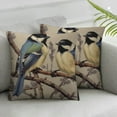 thumbnail image 2 of HENGT  Blue Robin Bird Throw Pillow Cover Stand On Branch Foliage Furry Vivid Animal Nature Pillow Case 2pcs Decorative Men Women Boy Girl Room Cushion Cover for Home Couch Bed, 2 of 6