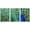 WHITE, variant on wall26 - 3 Piece Framed Canvas Wall Art - Male Peacock Displaying His Colorful Feathers - Modern Home Art Stretched and Framed Ready to Hang - 16"x24"x3 WHITE