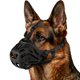 thumbnail image 1 of Bozal para perros Qukcors, suave y transpirable, ajustable para perros de talla XL, 1 of 7