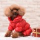 thumbnail image 1 of Ropa acolchada para mascotas Ropa para perros de otoño e invierno Ropa para perros (rojo-L JM, 1 of 3