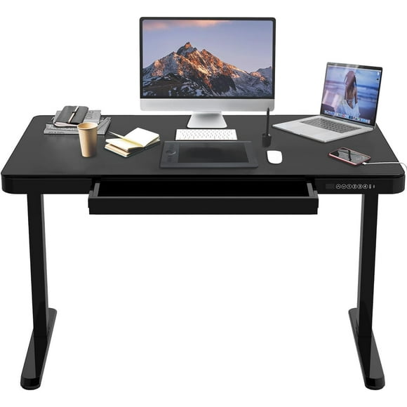48 x 24 inch Electric Standing Desk, Height Adjustable Sit Stand Desk Computer Workstation with Storage Drawer and USB Posts for Home Office (Whole-Piece Tabletop & Steel Frame)