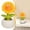 A, variant on Clearance Under $3 Sunflower Figurine Cactus Figurine Resin For Desk Zen Garden Shelf Succulent Decor (E) (1Pc)