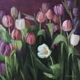 thumbnail image 2 of Strube, Ling 20x20 Black Ornate Wood Framed with Double Matting Museum Art Print Titled - Spring Tulips, 2 of 4