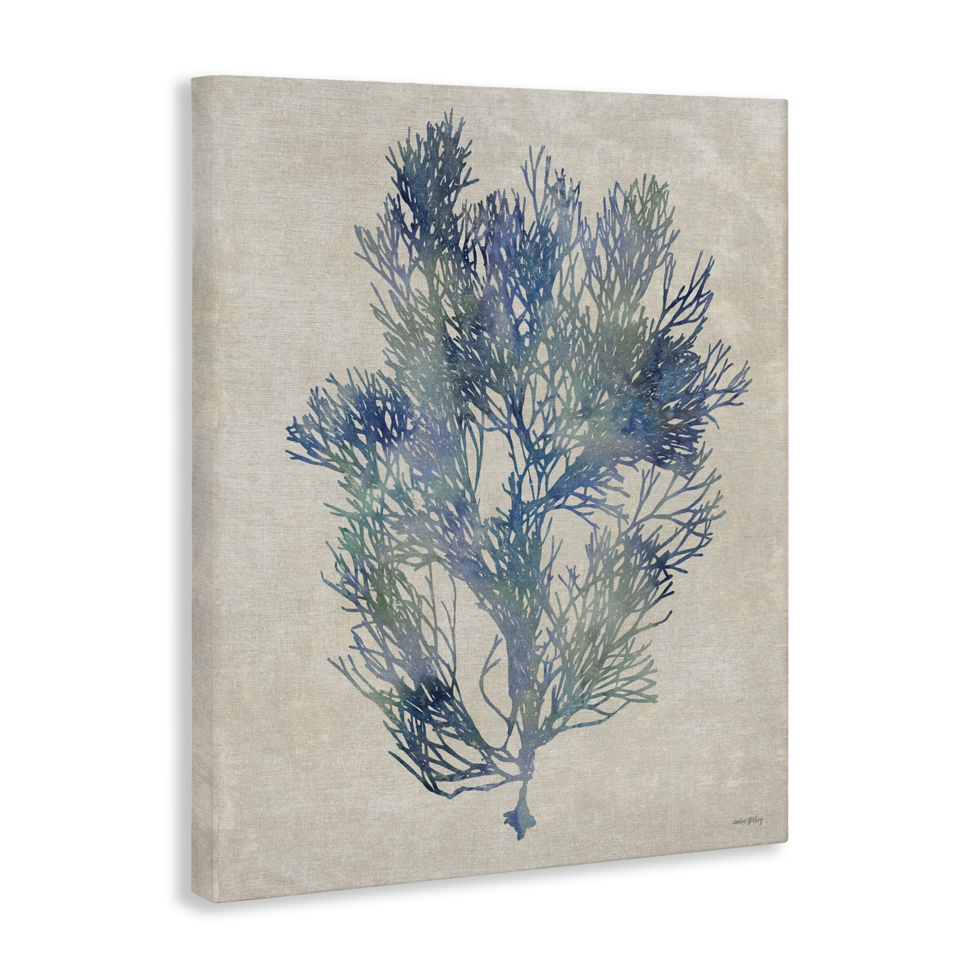 Stupell Industries Misty Blue Coral Study Canvas Wall Art, design by Amber Sterling