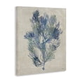 thumbnail image 2 of Stupell Industries Transitional Misty Blue Coral Study Canvas Art, 16 x 20, by Amber Sterling, 2 of 8