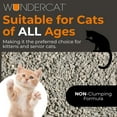 thumbnail image 5 of Progressive Planet Wundercat Non-Clumping Cat Litter, 22lbs - Lightweight & Food-Grade Diatomaceous Earth Litter - Superior Moisture & Odor Absorption - Low-Tracking, 5 of 6