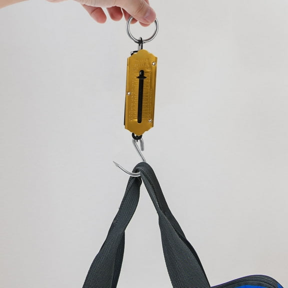 Raindrops 2-Pack Iron Copper-Plated Spring Scale for Men Women Luggage Fishing Vegetable Weighing 7 Inch