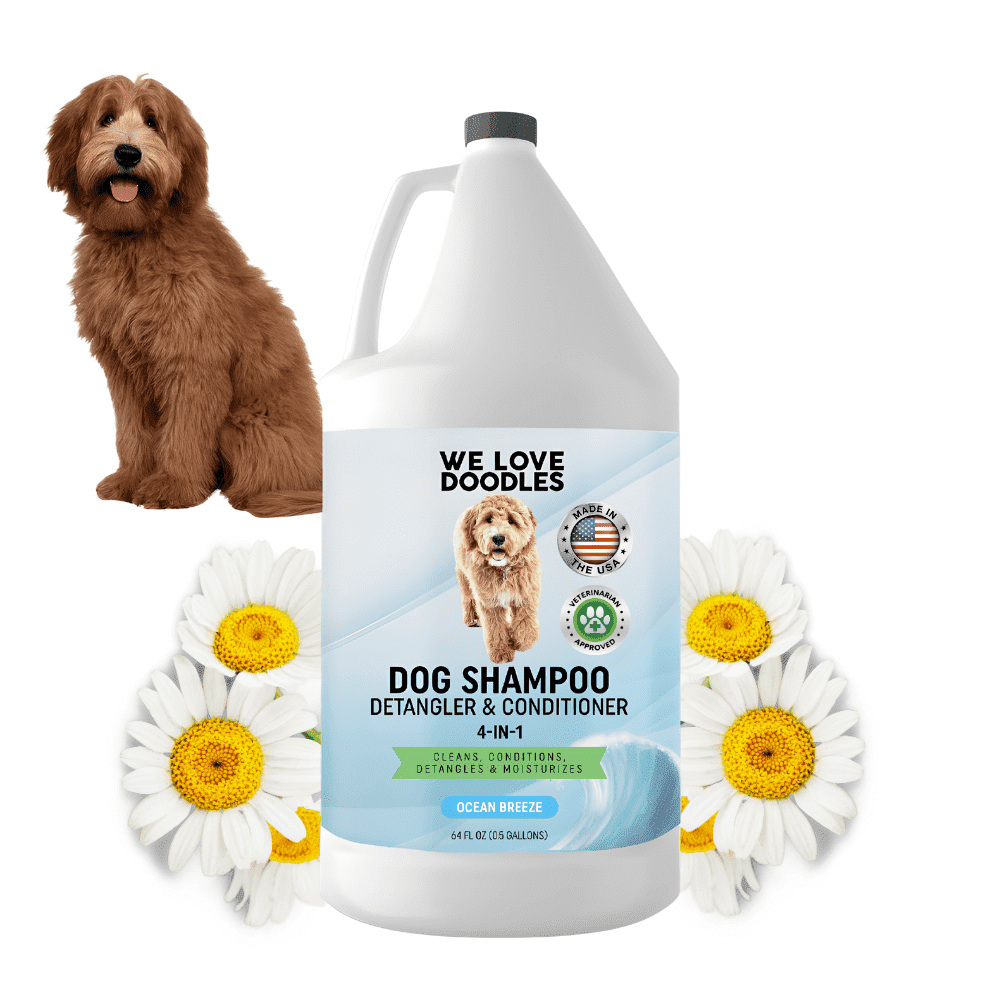 We Love Doodles Dog Shampoo & Conditioner 4-in-1, Detangler, Natural Grooming Wash for Puppies & All Breeds, Ocean Breeze, 64 oz