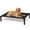 Black, variant on Elevated Dog Bed, Cooling Raised Bed, Portable&No-Slip for Outdoor or Indoor Use, Green, Small, 35"L x 25"W x 7.4"H