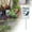 Pink, variant on I Saw It Dog Poop Sign With Bag Holder Dog Sign Please Clean Up Your Pet Poop Yard Insert Sign Funny Dog Poop Warning Insert Sign Home Decor