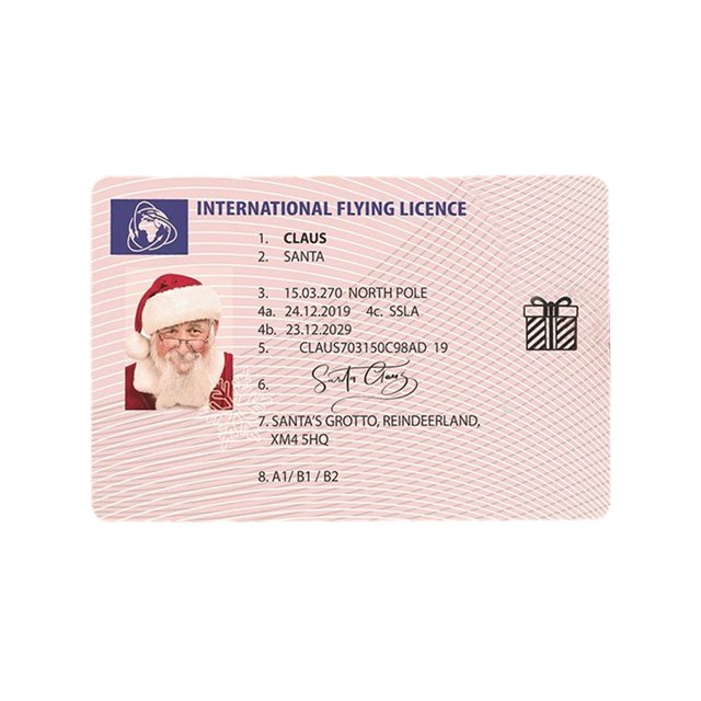 Santa Claus Flight License Sleigh Riding Licence Tree Ornament