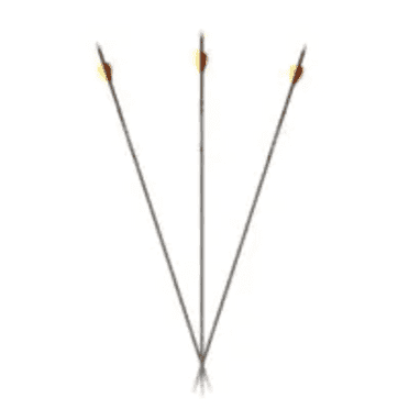 Carbon Express Predator SD 400, 12-Pack