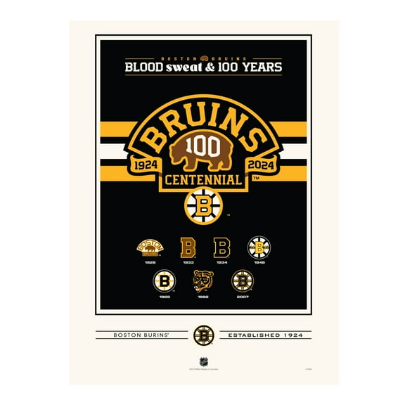 Boston Bruins Centennial 12" x 16" Logo History Print