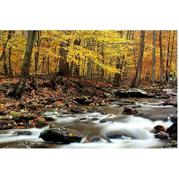 Trademark Art "Autumn's Fire II" Canvas Art by CATeyes