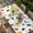 Green, variant on Spring Butterfly Dragonfly Table Cloths for 5 Foot Rectangle Tables, Beige Botanical Floral Rustic Patio Waterproof Elastic Fitted Tablecloths, Washable Rectangular Table Cover for Camping