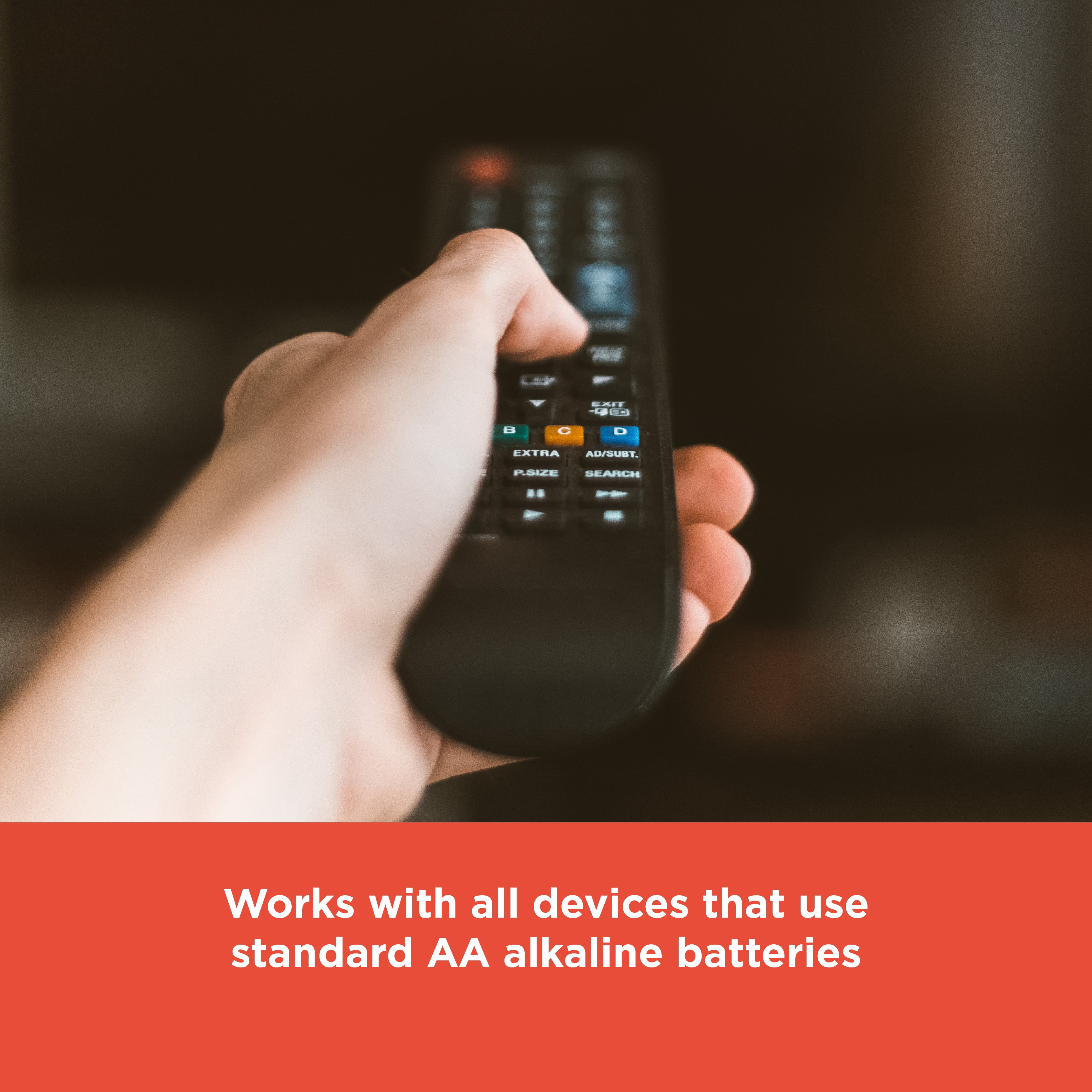 RadioShack 40 Pack Alkaline Batteries AA