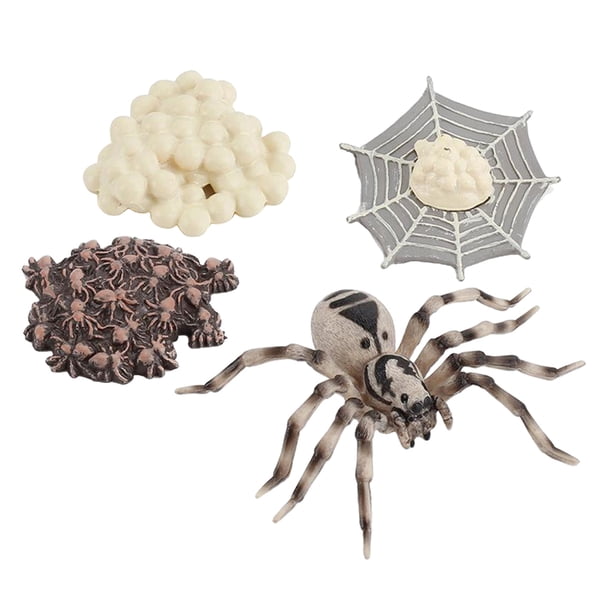 Ciclo de simulación Animal modelo Mini Bug ciclo de plástico salón de clases enseñanza juguete Sunnimix Juego de crecimiento de insectos para niños