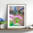 thumbnail image 3 of Wdftyju 5D DIY Diamante Pintura Colibrí en Flor Taladro Cuadrado Completo (30x40CM) Wdftyju 7ae0jy3bc3ur7wn0D02, 3 of 9