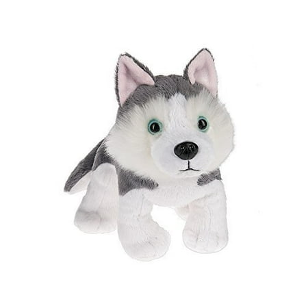 Free webkinz membership Free webkinz membership