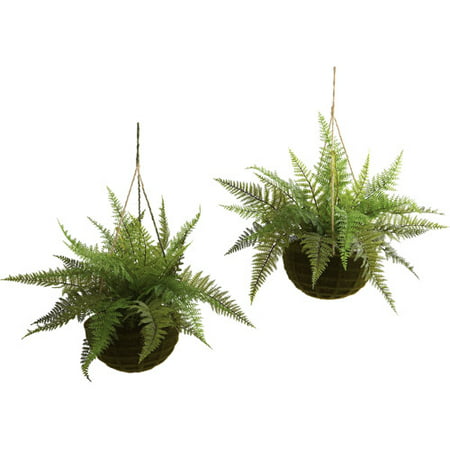 Nearly Natural Leather Fern with Mossy Hanging Basket, Indoor and Outdoor,