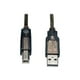 USB (M) USB-A 25' Câble de Répéteur Actif vers USB-B M/M - Câble USB - USB Type B (M) vers - USB 2.0 - 25 ft - Actif - Argent – image 2 sur 2