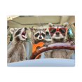 thumbnail image 1 of Funny Raccoon Silly Raccoon Couple Wall Art Ready to Hang Unframed, 1 of 7
