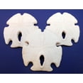 thumbnail image 5 of Set of 12: White Rustic Arrowhead Sand Dollars 3-3 1/2" Beach Wedding Coastal Cottage Decor, 5 of 7