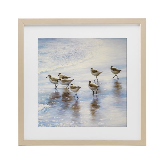 Stupell Industries Coastal Sand Dancers on Shore Birch Framed Print Under Glass, 13 x 13, by Bruce Nawrocke