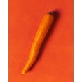 thumbnail image 3 of Wickett & Craig English Bridle Leather Panels, Carrot, 3 of 6