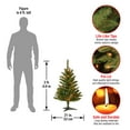 thumbnail image 3 of National Tree Company Artificial Pre-Lit Mini Christmas Tree, Green, Kingswood Fir, Multicolor Lights, 3 Feet, 3 of 4