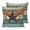 Teal Brown, variant on Teal Sea Turtle 18x18 Pillow Covers Set of 2, Coastal Coral Ocean Nautical Vintage Throw Pillow Covers Decorative Couch Cushion Case, Microfiber Square Pillowcases for Bedroom Car Living Room