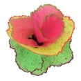 thumbnail image 4 of Decoración de Coral de simulación, pecera fluorescente, plantas, decoración para paisaje, colorida, 4 of 5