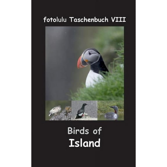 Birds of Island, (Paperback)