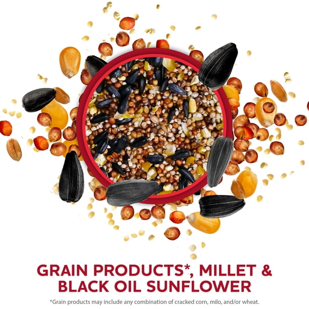 Vibrant Life Economy Blend Wild Bird Seed, 5 lb Bag - Walmart