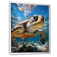 thumbnail image 2 of Designart "Encountering Marine Life The Turtle s World I" Animals Floater Framed Canvas Print, 2 of 7