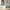 White, variant on Extendable Daybed with Trundle, Wooden Daybed Twin or Double Twin, Kids Twin Size Trundle Daybed for Kids Teens Adults, No Box Spring Required (Twin/Double Twin, Gray)