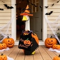 thumbnail image 5 of AuroraX Porch Goose Clothes Set 17 19 inch 23 inch Porch Goose Halloween Outfit Wizard Witch Autumn Porch Goose Accessories Fall Outside Stuff, 5 of 6