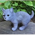 thumbnail image 2 of Figurine Hi-Line Gift Ltd., gatito azul ruso, poliresina, 2 of 5