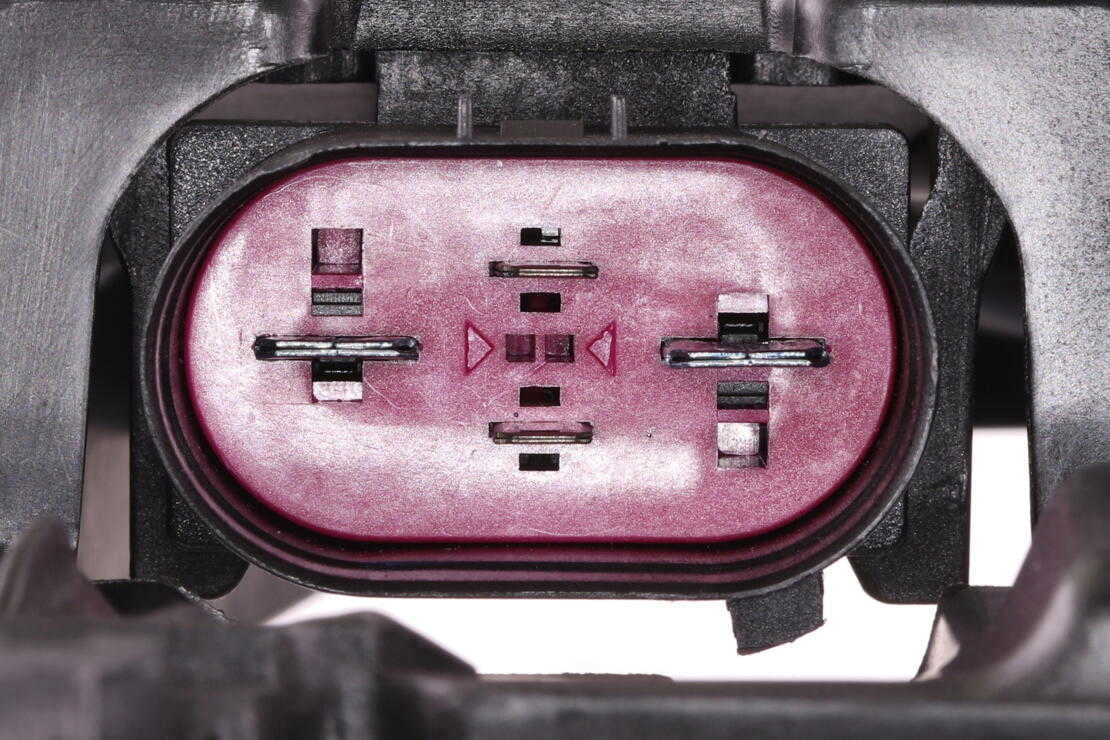 VEMO V30-01-1634 Fan, engine cooling