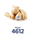 thumbnail image 5 of Fresh Ginger Root, Each, 5 of 5