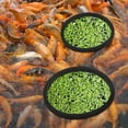 thumbnail image 1 of BESTYASH 5Pcs Aquarium Floating Plant Rings EVA for Fish Feeding and Decor, 1 of 6