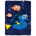 thumbnail image 1 of Disney-Pixar Finding Dory, manta Micro Raschel "Burbujas en el agua", 46 "x 60", multicolor, 1 unidad Disney-Pixar Finding Dory 87918086821, 1 of 1