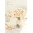 thumbnail image 2 of Flores artificiales Floroom Ranunculus Champagne, 18 unidades, 2 of 5