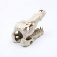 thumbnail image 5 of Dmlowu Animal Skeletons Halloween Decorations, 3x5" Plastic Halloween Skeleton for Home Decor, Spooky Crocodile Skull Skeleton for Halloween Decorations Outdoor & Infoor, White, 5 of 5