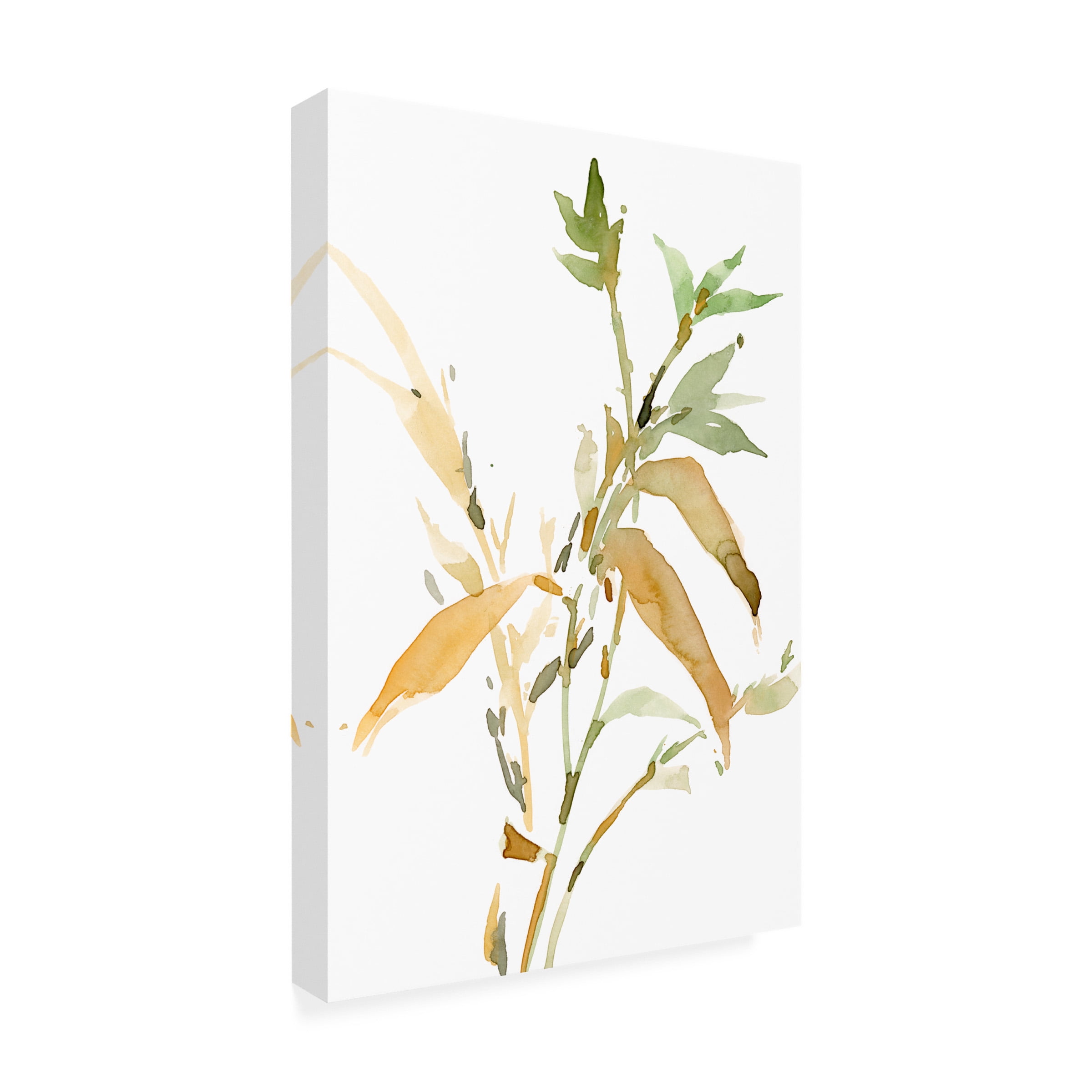 Samuel Dixon 'Stems I' Canvas Art